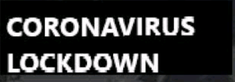 Karnataka Locks Down 9 Districts 1 1584872248432