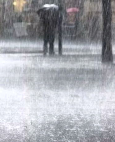 Rains bring relief to locked-down Bengaluru 1 Screenshot_2020-04-06-10-23-05