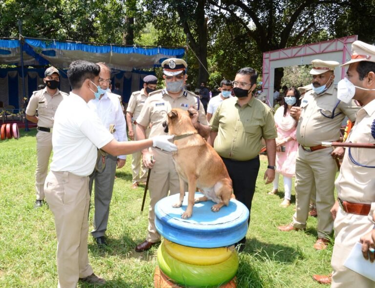 50 more 'recruits' for police dog squad 4 WhatsApp Image 2020-05-26 at 19.31.05