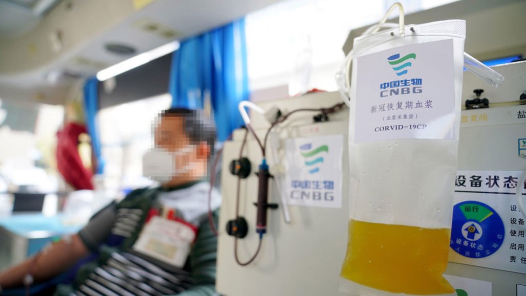 Was Karnataka’s first plasma therapy case a flop? 1 plasma_feat-1028x579