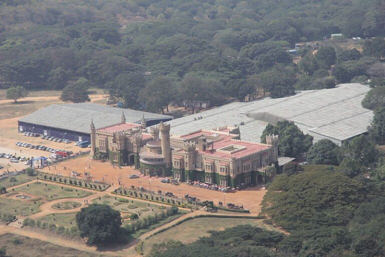 Palace Grounds may be turned into Covid hospital
