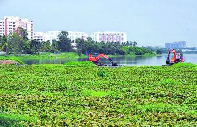 HC tells pollution watchdog to check for STP violations 1 HC tells pollution watchdog to check for STP violations