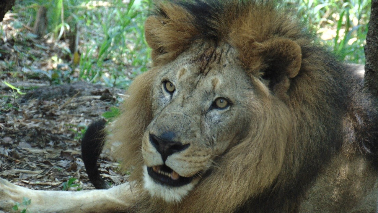 WhatsApp Image 2020-06-06 at 5.12.35 PM (1)