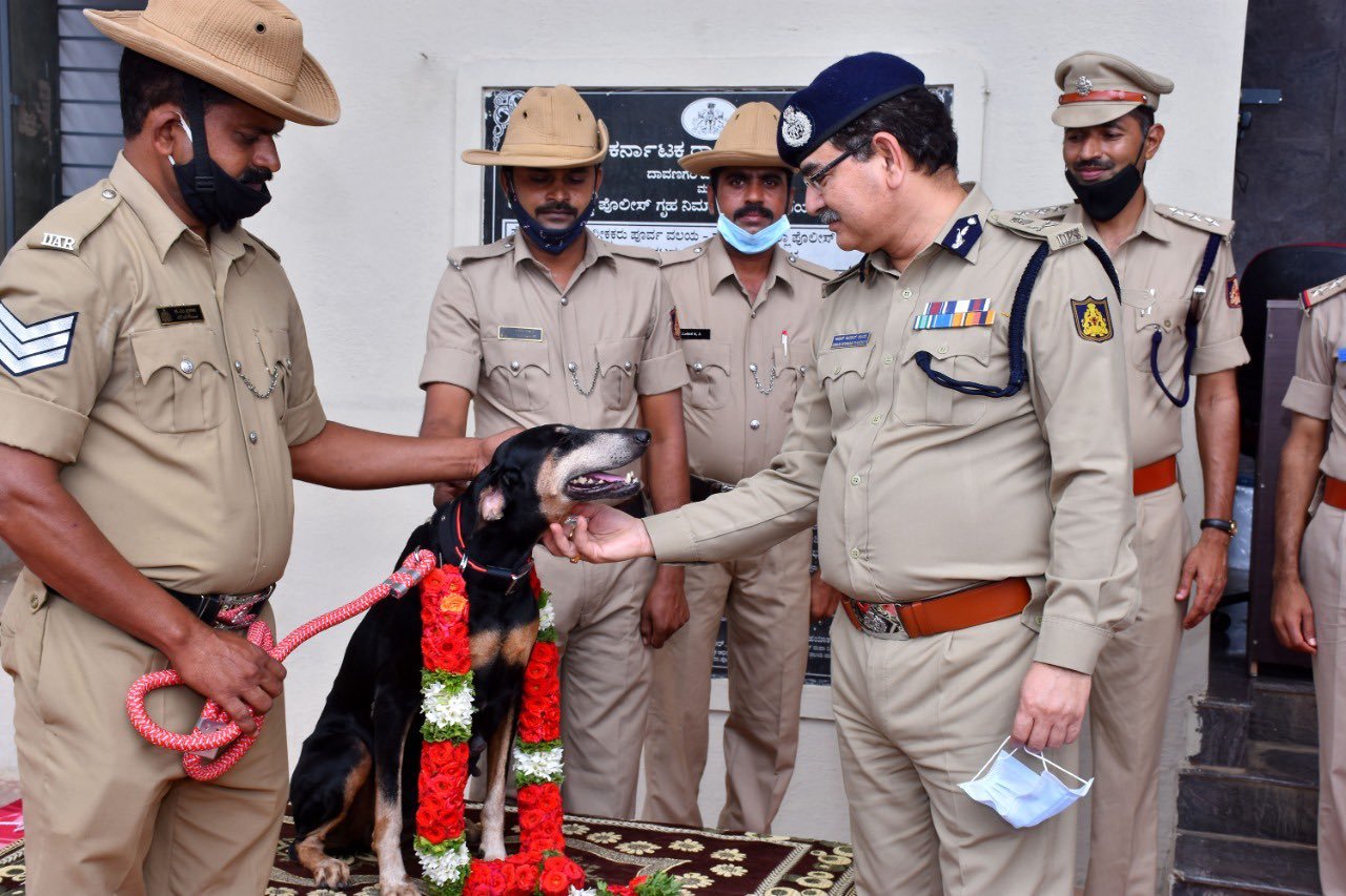 ADGP (Law and Order) Amar Kumar Pandey 'congratulated' Tunga, a Doberman member of the police dog squad in Davangere..