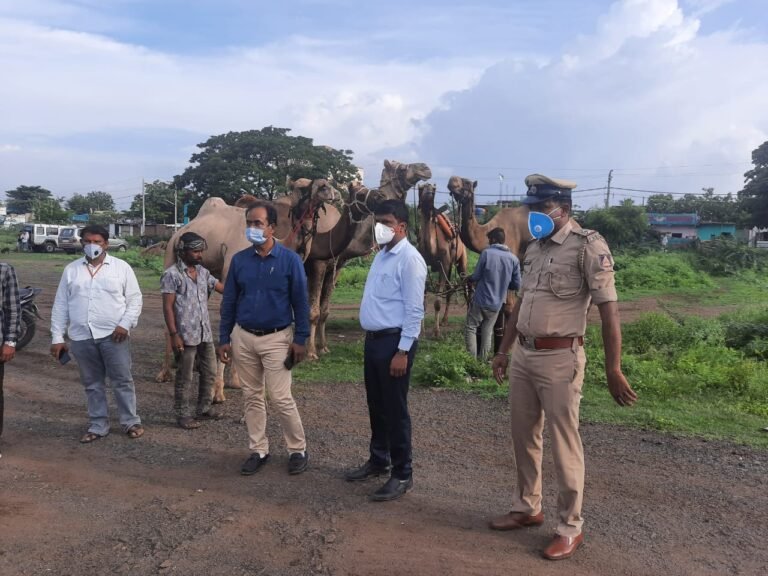 Team to prevent illegal animal slaughter in Bengaluru 5 IMG-20200722-WA0015