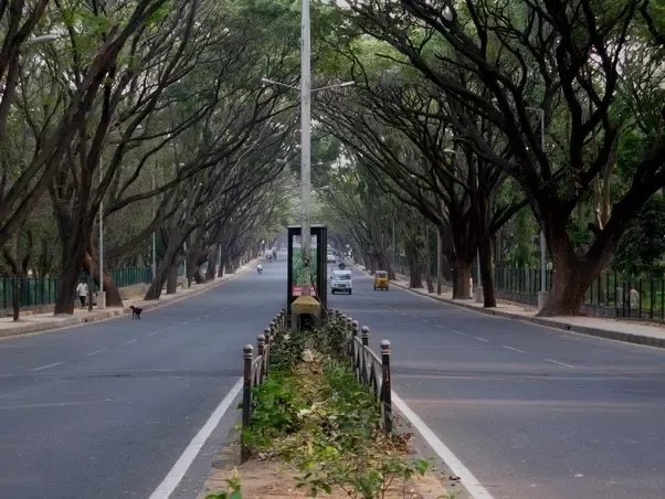 Week-long Bengaluru lockdown won’t cut infections: Expert 1 lockdown1