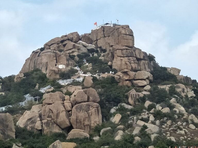 Stone from Anjanadri hill for Ram Mandir: MLA 3 Anjanadri hill