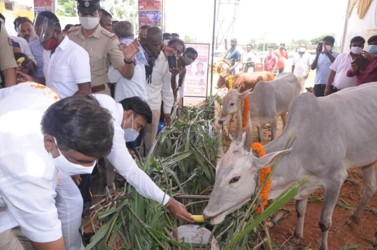 Cow slaughter a sin, BJP committed to banning it: Sudhakar