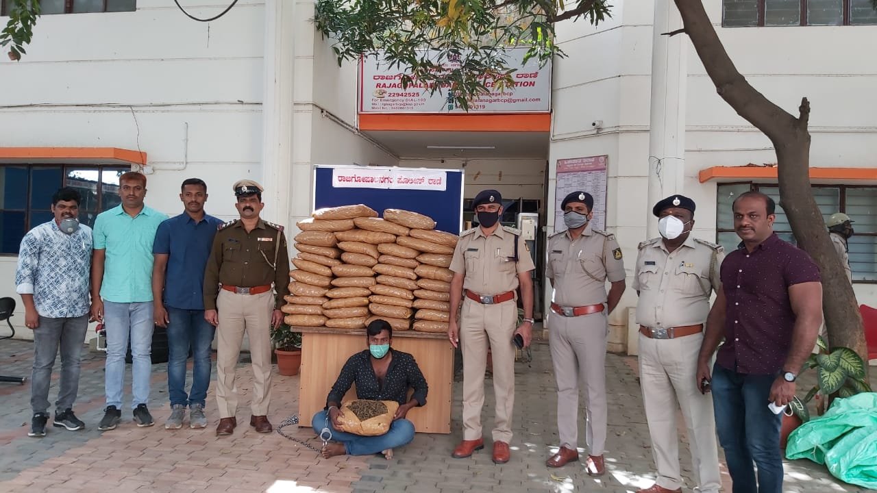Police nab 26-yr-old man, 110 kg ganja seized