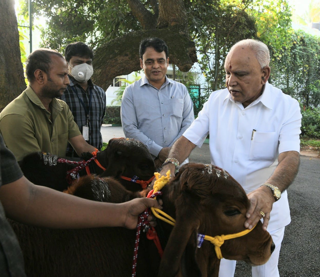 CM with cow
