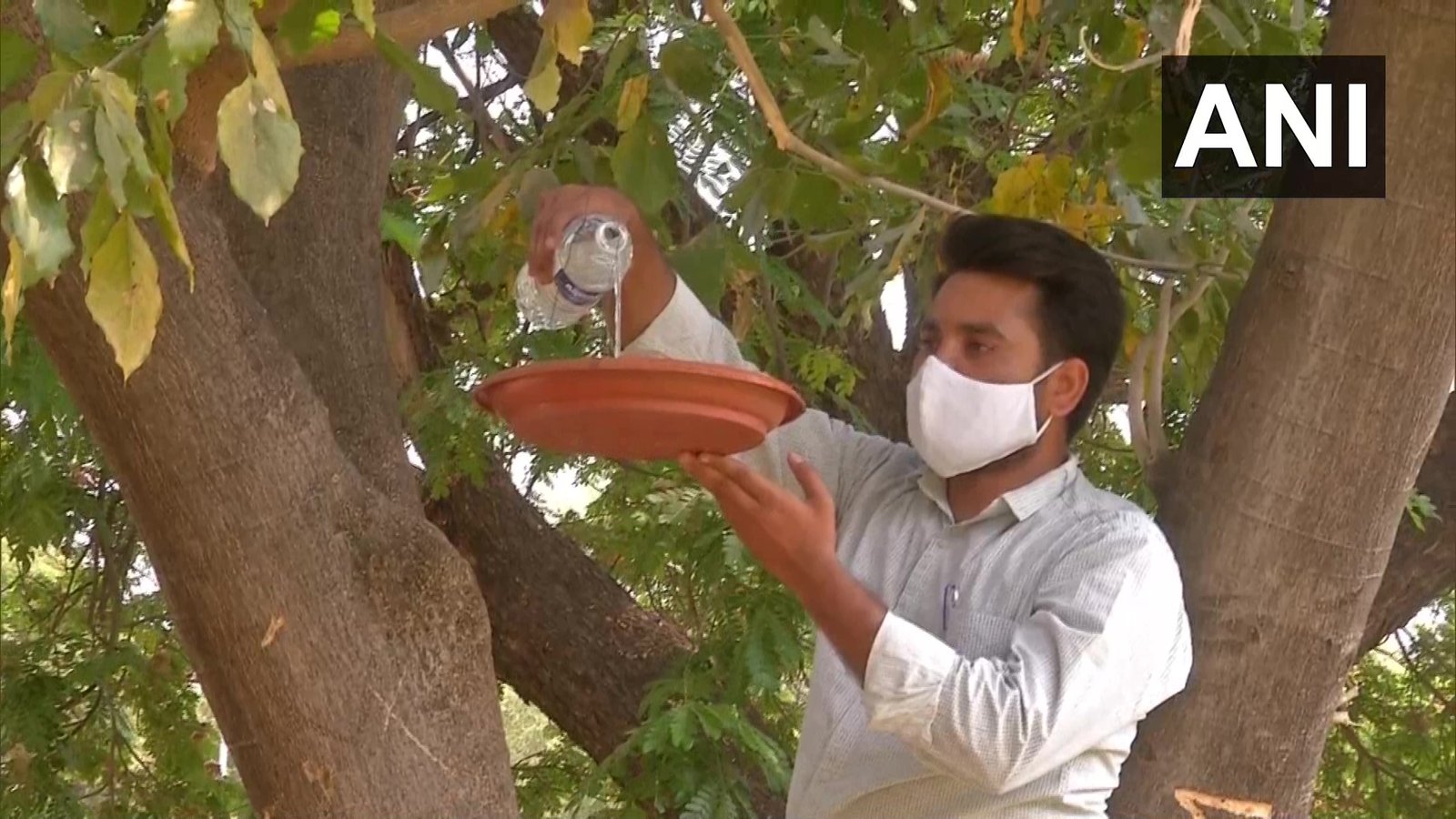 Kalaburagi City Corporation water points for birds