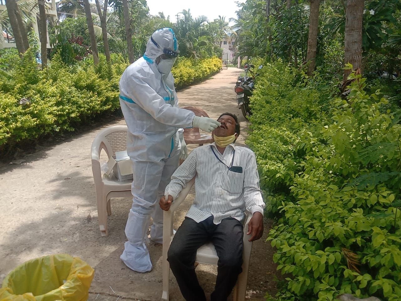 covid testing swab collection