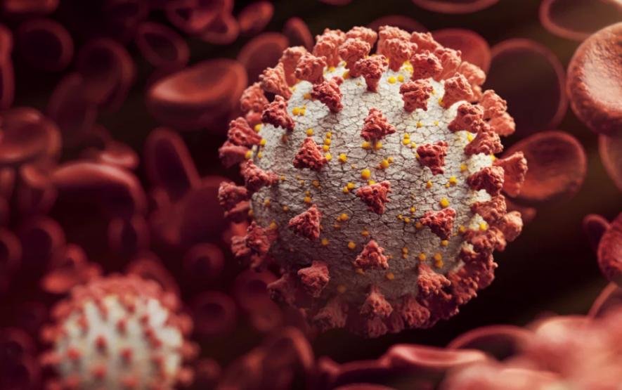 Delta Plus variant: Centre asks Karnataka to take up immediate containment measures 1 Delta Plus Virus