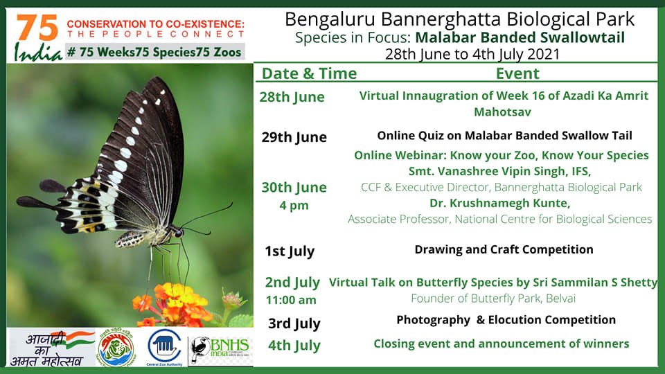 Bannerghatta zoo to hold expo on rare butterfly