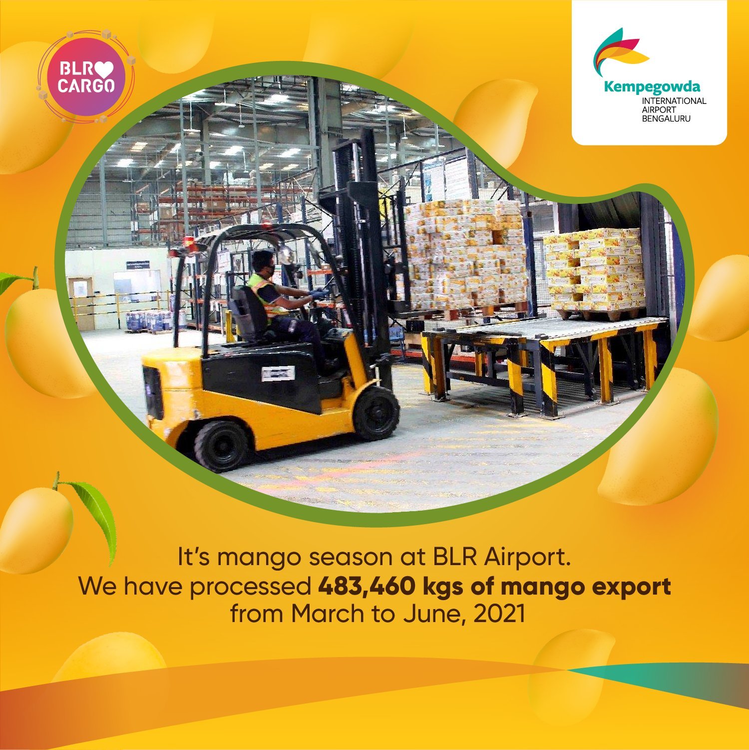 Bengaluru Airport processes 4.83 lakh kgs mango exports between Mar-June
