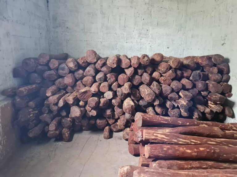 2 held, red sandalwood worth Rs 4.5 cr seized by Bengaluru Central Crime Branch