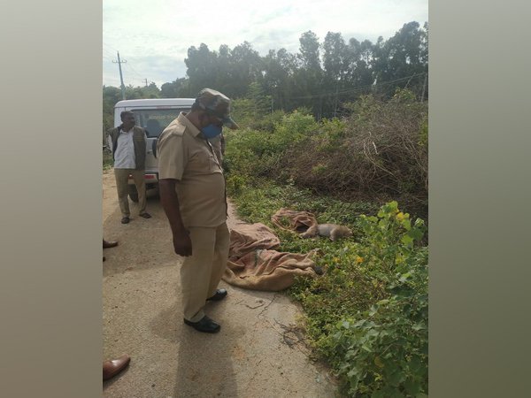 Kolar: 20 monkeys found dead, probe ordered