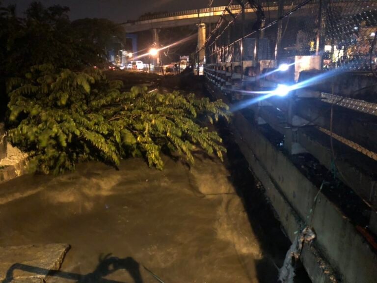Bengaluru rain havoc: 110 mm of rainfall recorded in Jnanabharathi