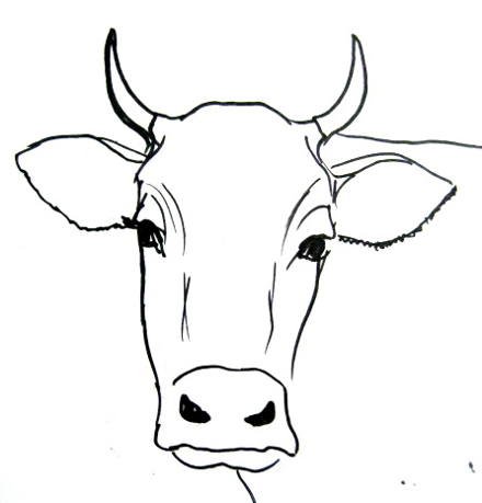 cow