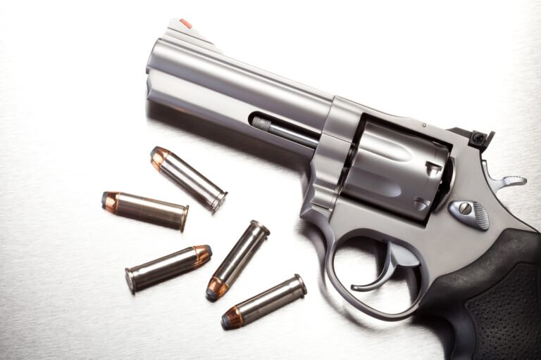 Bengalureans can now apply for gun licence online 4 Bengalureans can now apply for gun licence online