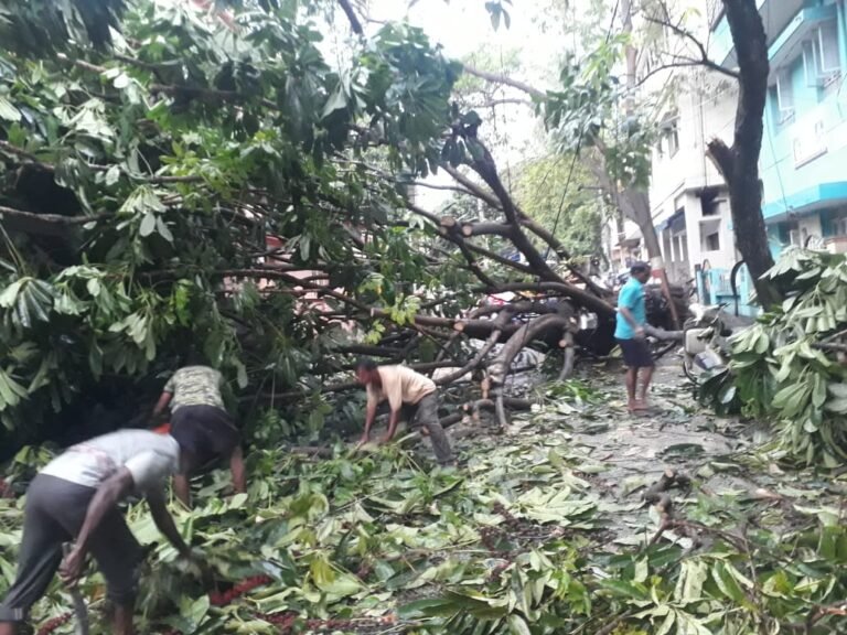 BBMP red alert as weatherman predicts rains for 3 days in Bengaluru treefall