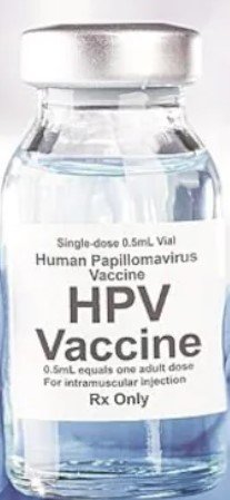 human papillomavirus (HPV) vaccine
