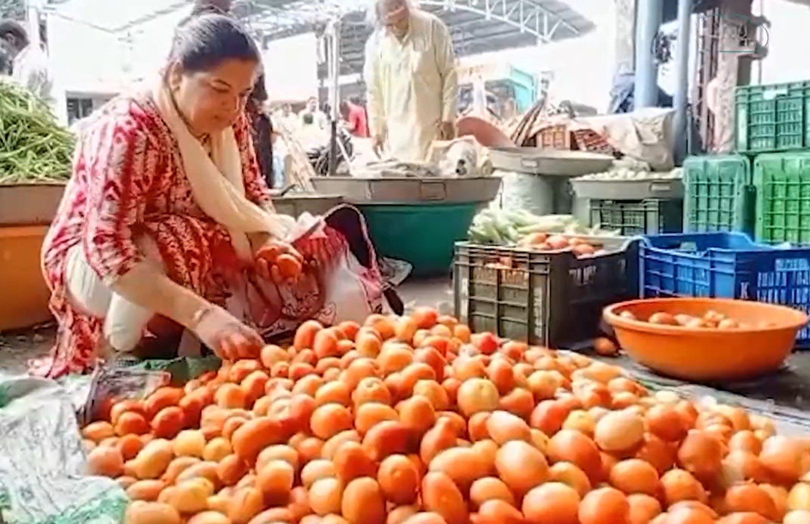Heavy rains further push up retail tomato prices up to Rs 200/kg; other veggies also get costlier 1 Spike in tomato prices temporary phenomenon; rates will cool down soon: Govt official