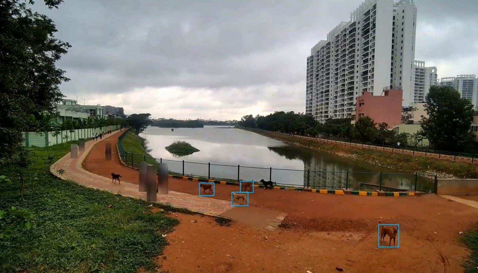 Bengaluru: BBMP joins hands with IISc-based startup for survey of stray dogs in city 1 Bengaluru: BBMP joins hands with IISc-based startup for survey of stray dogs in city