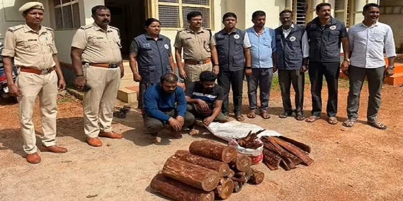 125 kg of red sanders seized, two held