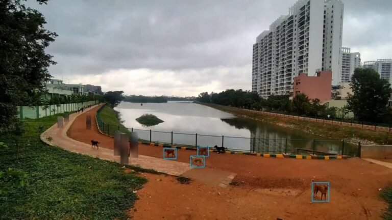 Bengaluru has 2,79,335 stray dogs in BBMP limits 10 Bengaluru has 2,79,335 stray dogs in BBMP limits