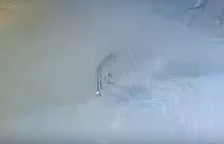 Residents Concerned After Leopard Sighting in Bommanahalli