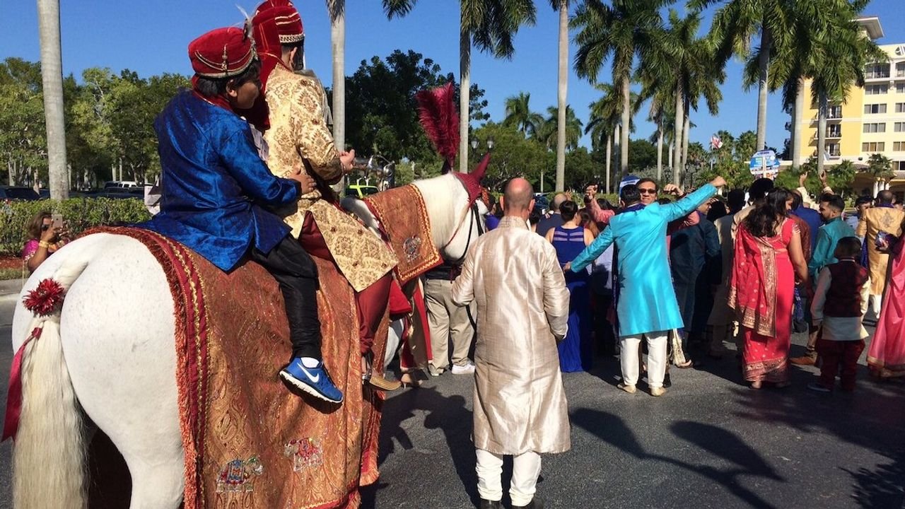 Dalit groom assaulted, abused for riding horse during wedding procession; 4 held 1 Dalit groom assaulted, abused for riding horse during wedding procession; 4 held