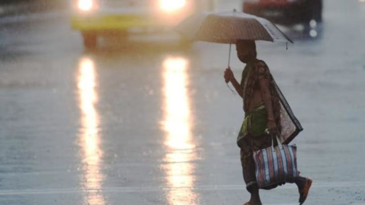 Cold wave conditions back in Rajasthan after rain; Fatehpur records 1.4 deg C 1 Cold wave conditions back in Rajasthan after rain; Fatehpur records 1.4 deg C