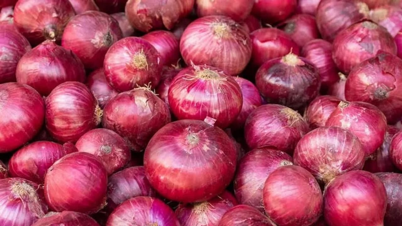 Onion export ban to continue till Mar 31: Govt 1 Onion export ban to continue till Mar 31: Govt