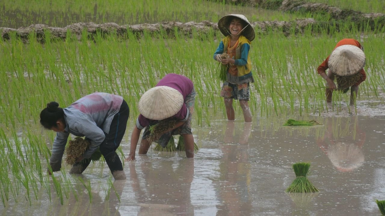 India's rain-fed agri areas likely to receive above-normal monsoon rain this year