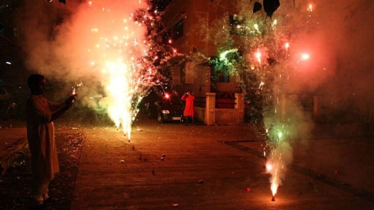 Despite ban, 18% Delhi-NCR families plan to burst crackers this Diwali: Survey