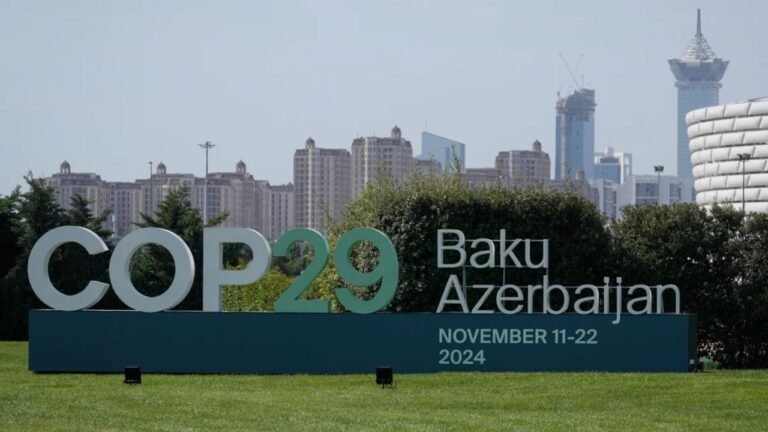COP29: India asks rich nations to honour adaptation finance commitments 1 COP29: India asks rich nations to honour adaptation finance commitments