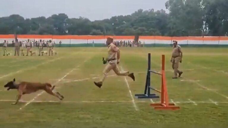 Haryana Police enhances capacity with 27 new dogs in squad