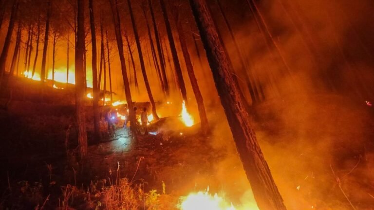 Over 90% of global deaths linked to pollution from landscape fires in poor countries: Study 9 Over 90% of global deaths linked to pollution from landscape fires in poor countries: Study