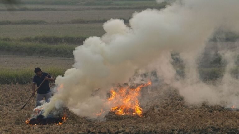 Air quality in Punjab, Haryana remains poor due to stubble burning