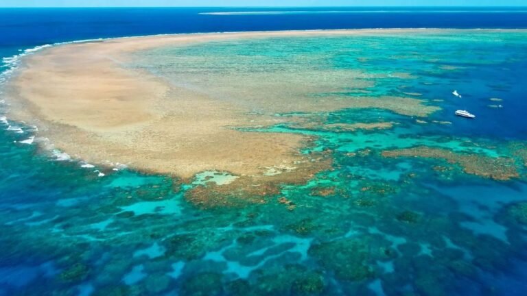 Cool water from the deep could protect pockets of the Great Barrier Reef into the 2080s
