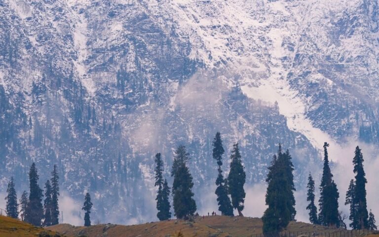 Fresh snowfall in higher reaches of Kashmir