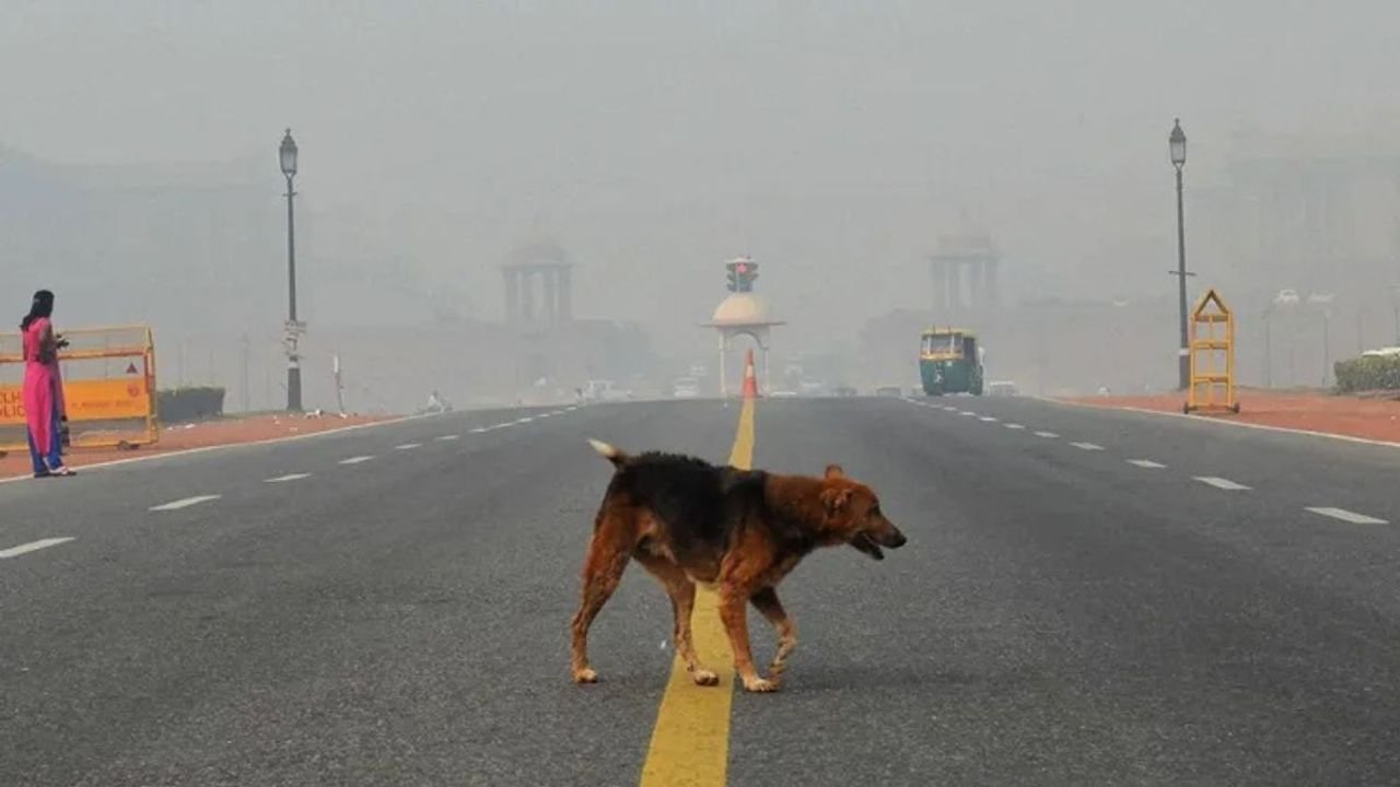 Delhi air quality fluctuates between Very Poor and Severe; AQI at 318 1 Delhi air quality fluctuates between Very Poor and Severe; AQI at 318