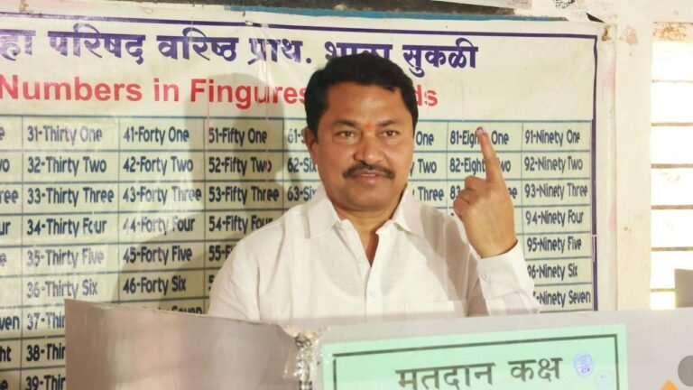 Bitcoin misappropriation: Will fight BJP's allegations legally, says Cong leader Patole 13 Bitcoin misappropriation: Will fight BJP's allegations legally, says Cong leader Patole