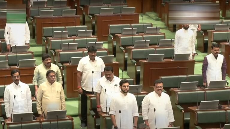 CM Fadnavis, deputy CMs Shinde, Pawar take oath as members of Maharashtra assembly 9 CM Fadnavis, deputy CMs Shinde, Pawar take oath as members of Maharashtra assembly