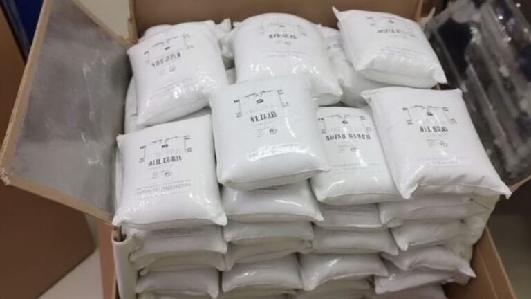 Jharkhand HC orders DGP to make SOP for seizure of drugs
