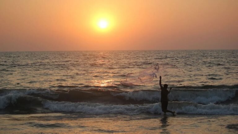 Vlogger accused of sexually harassing Russian tourists in Goa; probe underway
