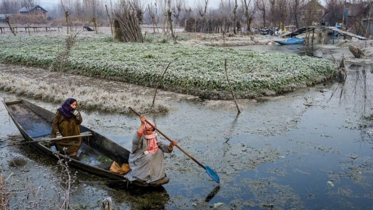 Respite from intense cold wave in Kashmir, mercury rises slightly