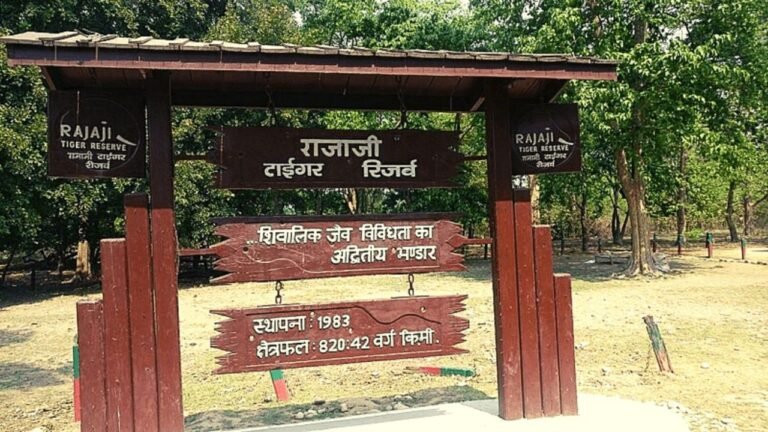 'Prima facie sponsored': SC on plea against construction near Rajaji National Park
