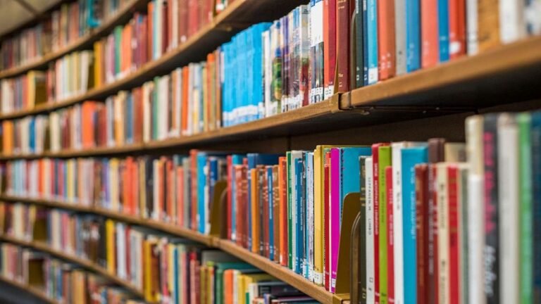 The ten best novels of 2024 – according to literary experts